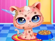 Cute Kitty Care - Pet Makeover Online Hypercasual Games on NaptechGames.com