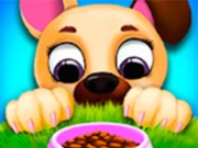 Cute Pet Friends - Virtual Pet Care & Dress up Online Girls Games on NaptechGames.com