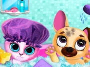 Cute Pet Friends Online Girls Games on NaptechGames.com