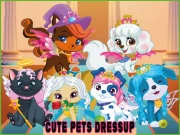 Cute Pets Summer Dress Up Online Girls Games on NaptechGames.com