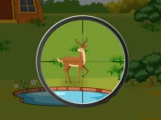Deer Hunter 2D Online Shooting Games on NaptechGames.com