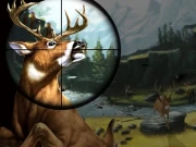 Deer Hunter Online Shooting Games on NaptechGames.com
