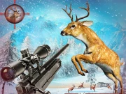 Deer Hunting Sniper Shooting Online Shooter Games on NaptechGames.com