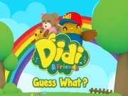 Didi & Friends Guess What Online HTML5 Games on NaptechGames.com