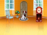 Dog House Escape Online Puzzle Games on NaptechGames.com