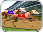 Dog Race Sim 2020: Dog Racing Games Online Racing & Driving Games on NaptechGames.com