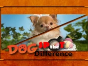 Dog Spot the Difference Online Puzzle Games on NaptechGames.com