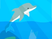 Dolphin Life Online Hypercasual Games on NaptechGames.com