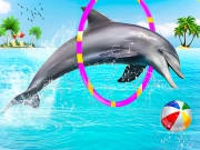 Dolphin Water Stunts Show Online Puzzle Games on NaptechGames.com
