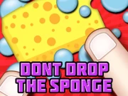 Dont Drop The Sponge Online Hypercasual Games on NaptechGames.com