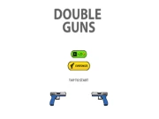 Double Guns 2d Hit Online arcade Games on NaptechGames.com