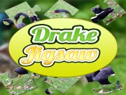 Drake Jigsaw Online Adventure Games on NaptechGames.com