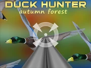 Duck Hunter autumn forest Online Shooter Games on NaptechGames.com