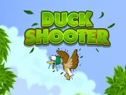 Duck Shooter Game Online Shooter Games on NaptechGames.com
