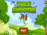 Duck Shooters Online Shooting Games on NaptechGames.com