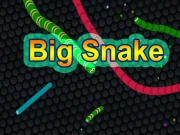 EG Big Snake Online HTML5 Games on NaptechGames.com