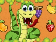 EG Fruit Snake Online Adventure Games on NaptechGames.com