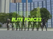 Elite Forces Online Multiplayer Games on NaptechGames.com