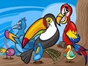 Exotic Birds Coloring Online Puzzle Games on NaptechGames.com