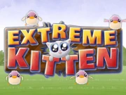 Extreme Kitten Online Casual Games on NaptechGames.com