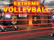 Extreme Volleyball Online Sports Games on NaptechGames.com