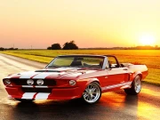 Fancy Mustang Differences Online Puzzle Games on NaptechGames.com