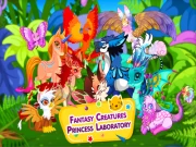 Fantasy Creatures Princess Laboratory Online junior Games on NaptechGames.com