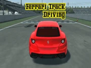 Ferrari Track Driving Online sports Games on NaptechGames.com