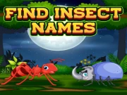 Find Insects Names Online Puzzle Games on NaptechGames.com