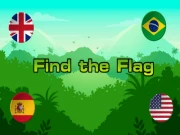 Find the Flag Online puzzles Games on NaptechGames.com