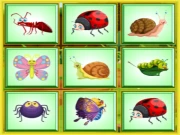 Find the Insect Online Puzzle Games on NaptechGames.com