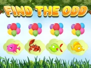 Find the Odd Online Puzzle Games on NaptechGames.com