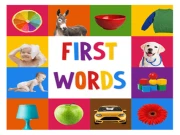 First Words Game For Kids Online Educational Games on NaptechGames.com