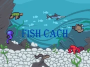 Fish Cach Online arcade Games on NaptechGames.com