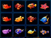 Fish Cards Match Online Puzzle Games on NaptechGames.com