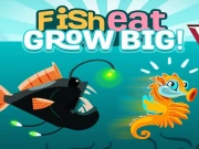 Fish Eat Grow Big Online Battle Games on NaptechGames.com