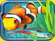 Fish Farm - Aquarium Simulator Online Girls Games on NaptechGames.com