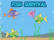 Fish Survival Online Puzzle Games on NaptechGames.com