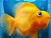 Fish tank Aquarium Online Arcade Games on NaptechGames.com