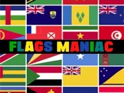 Flags Maniac Online Puzzle Games on NaptechGames.com