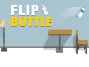 Flip Bottle Online Hypercasual Games on NaptechGames.com