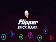Flipper Brick Mania Online puzzles Games on NaptechGames.com