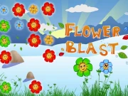 Flower Blast Online Puzzle Games on NaptechGames.com