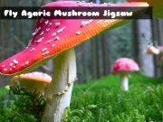 Fly Agaric Mushroom Online Puzzle Games on NaptechGames.com
