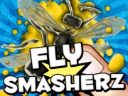 Fly SmasherZ Online Clicker Games on NaptechGames.com