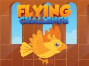 Flying Challenge Online Arcade Games on NaptechGames.com