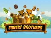 Forest Brothers HD Online Arcade Games on NaptechGames.com