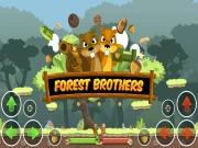 Forest Brothers Online Adventure Games on NaptechGames.com