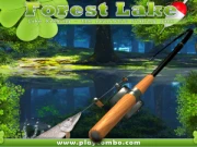 Forest Lake Online Sports Games on NaptechGames.com