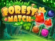 Forest Match Online Puzzle Games on NaptechGames.com